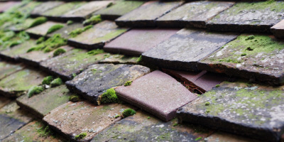 Stock roof repair costs